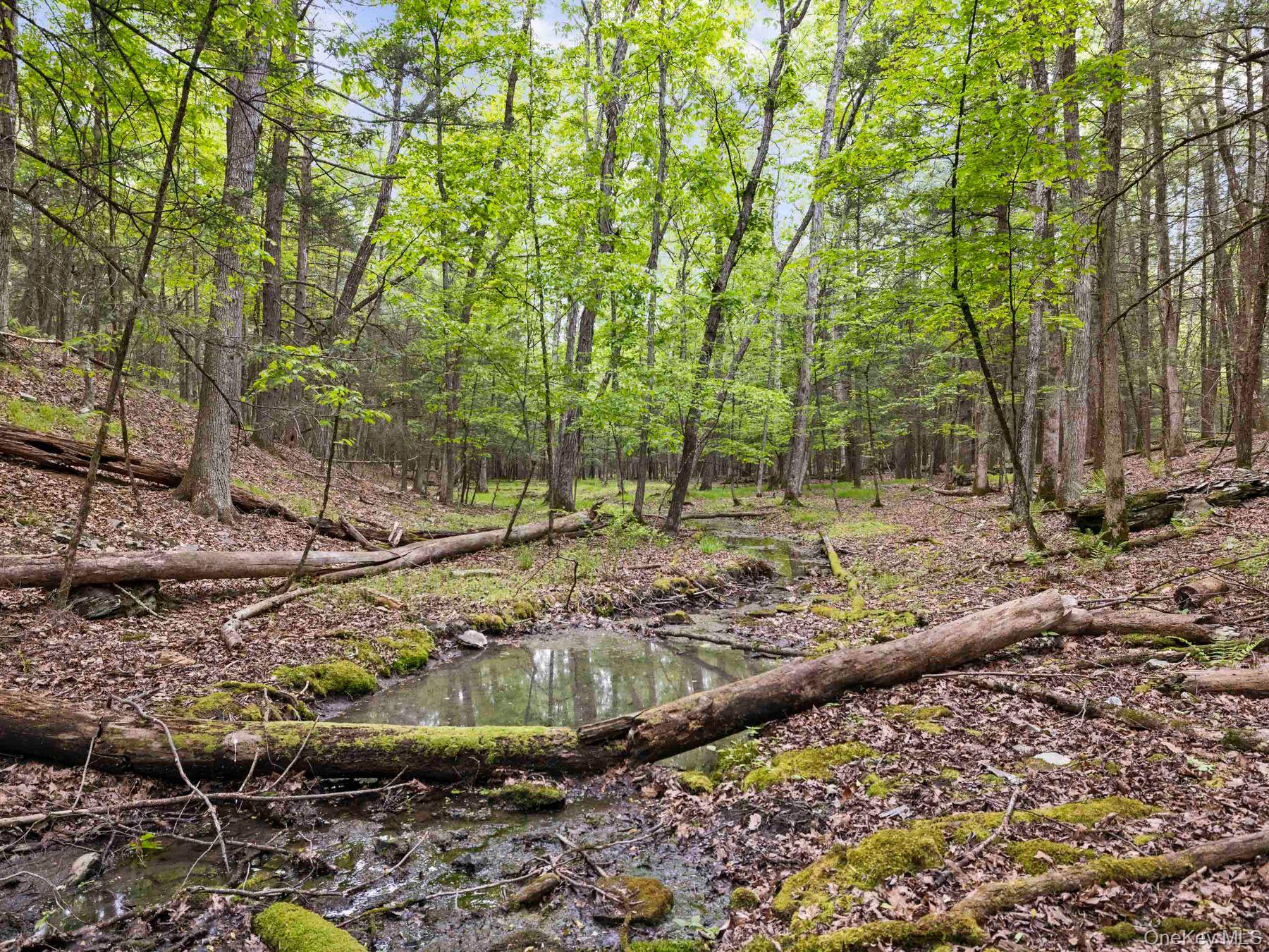 40 Mamoud Hills Road Kingston, NY 12401 - Photo 38 of 42 a view of a backyard with trees