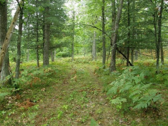 11628 Cedar Creek Road Manistee, MI 49660 - Photo 19 of 26 Additional Photo