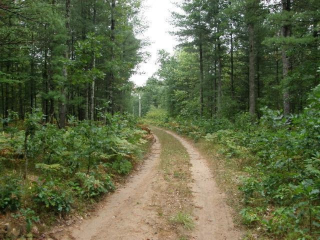 11628 Cedar Creek Road Manistee, MI 49660 - Photo 23 of 26 Additional Photo