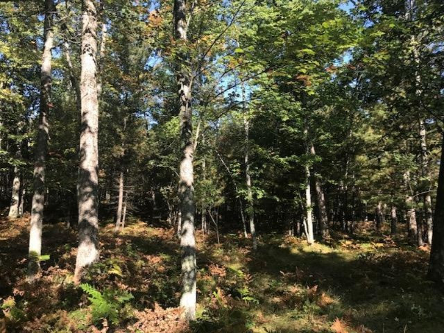 11628 Cedar Creek Road Manistee, MI 49660 - Photo 26 of 26 IMG_1826