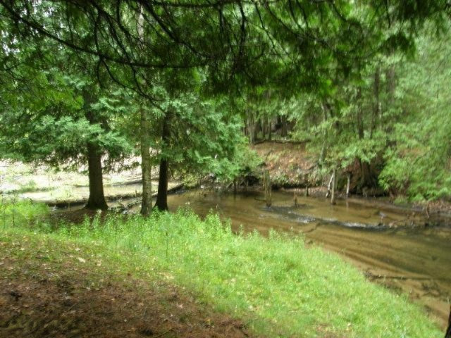 11628 Cedar Creek Road Manistee, MI 49660 - Photo 8 of 26 Additional Photo