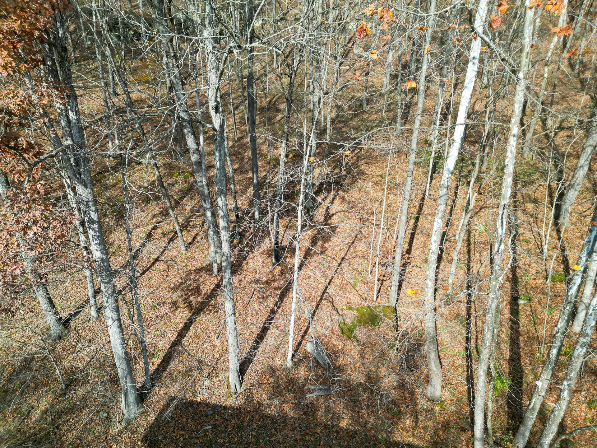 0 Keystone Road, Unit CREEKVIEW CABIN) Vinton, OH 45686 - Photo 73 of 95 CT-73