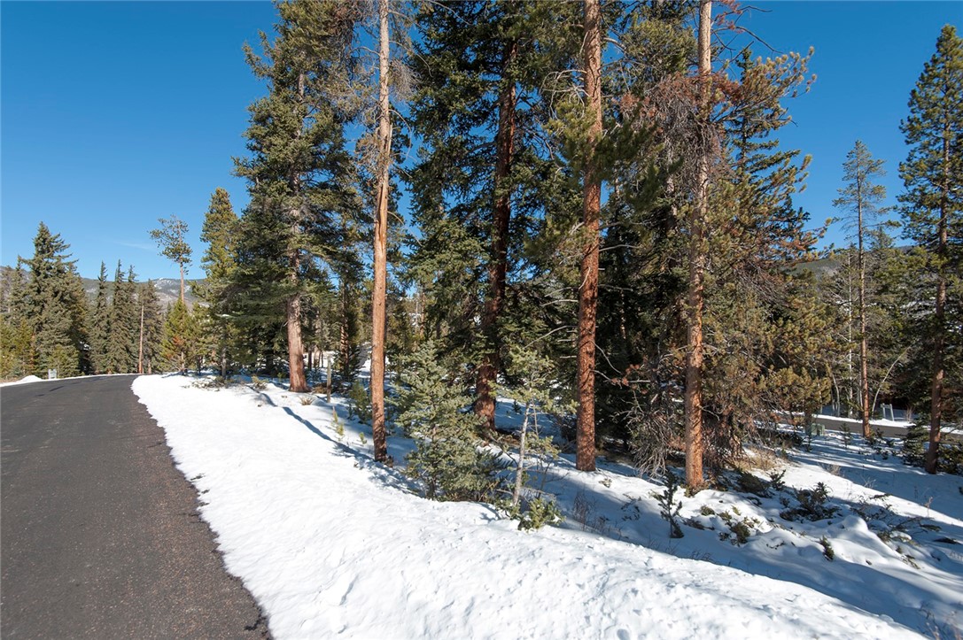 756 Penstemon Road Keystone, CO 80435 - Photo 8 of 11 Gallery Image 8