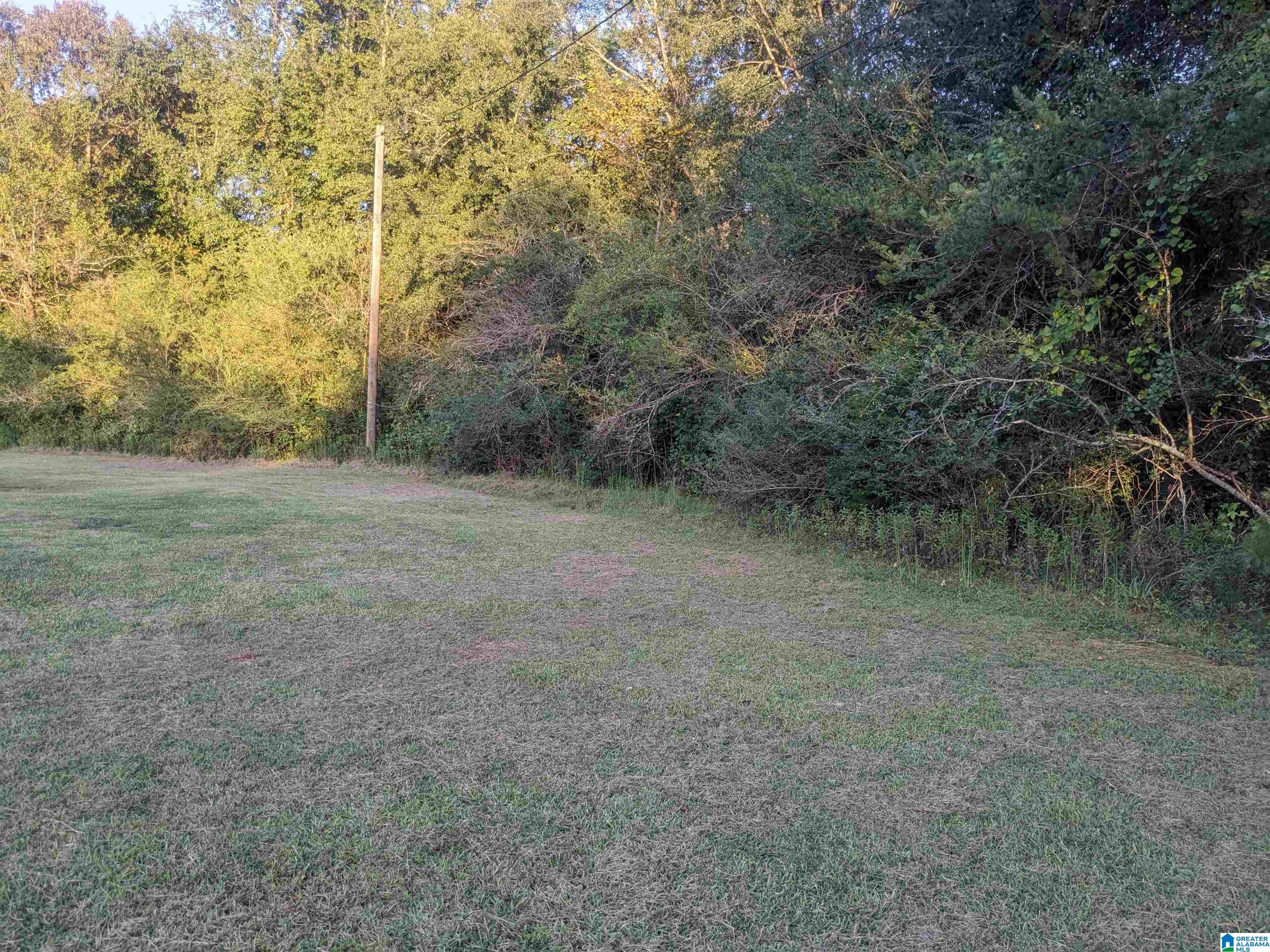 908 Antioch Road Anniston, AL 36207 - Photo 5 of 15