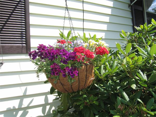 350 Granby Road Chicopee, MA 01013 - Photo 26 of 28 a view of a flower in a garden