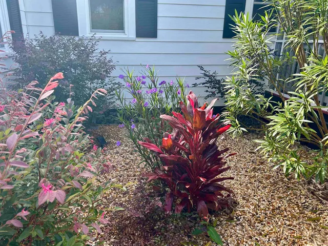 $599,000 | 1137 Palmetto Street, Georgetown, SC 29440