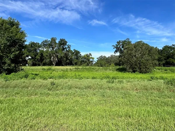 a view of a grassy field with trees in the background