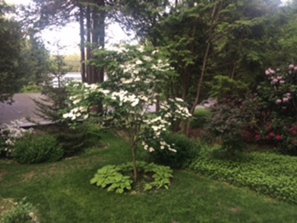 5 Moon Hill Road Lexington, MA 02421 - Photo 14 of 16