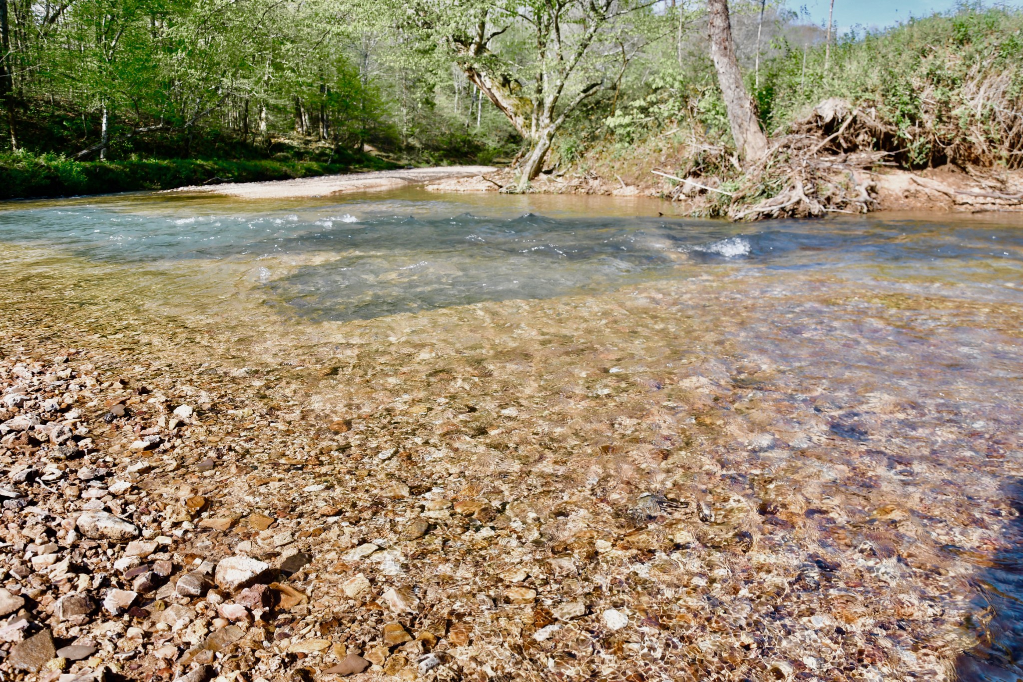 0 Cane Creek Road Hohenwald, TN 38462 - Photo 11 of 47 Gallery Image 11