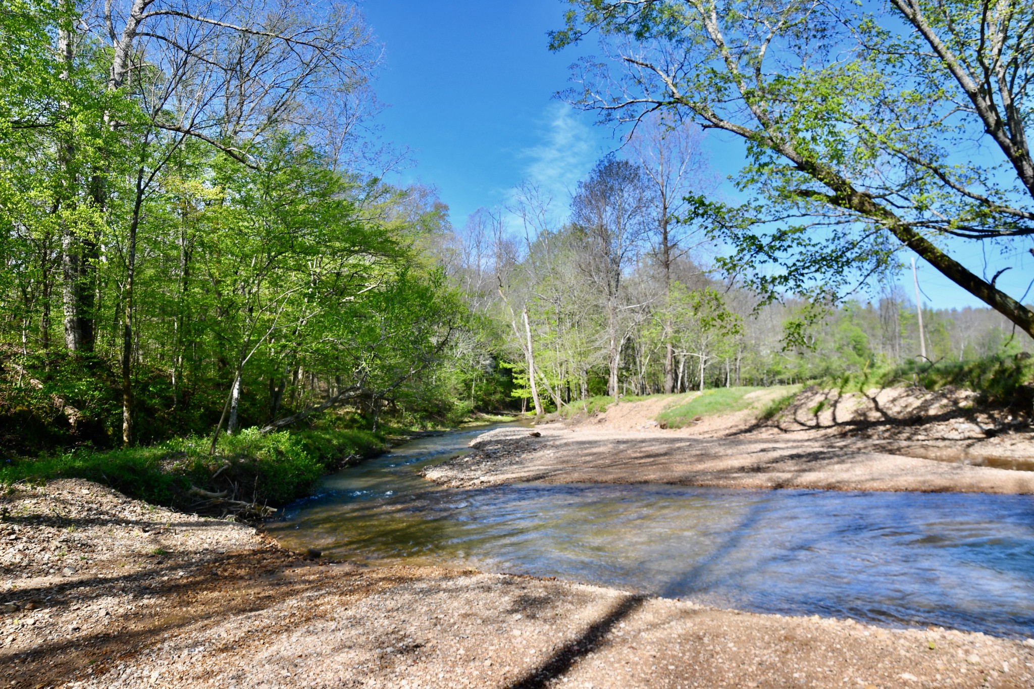 0 Cane Creek Road Hohenwald, TN 38462 - Photo 12 of 47 Gallery Image 12