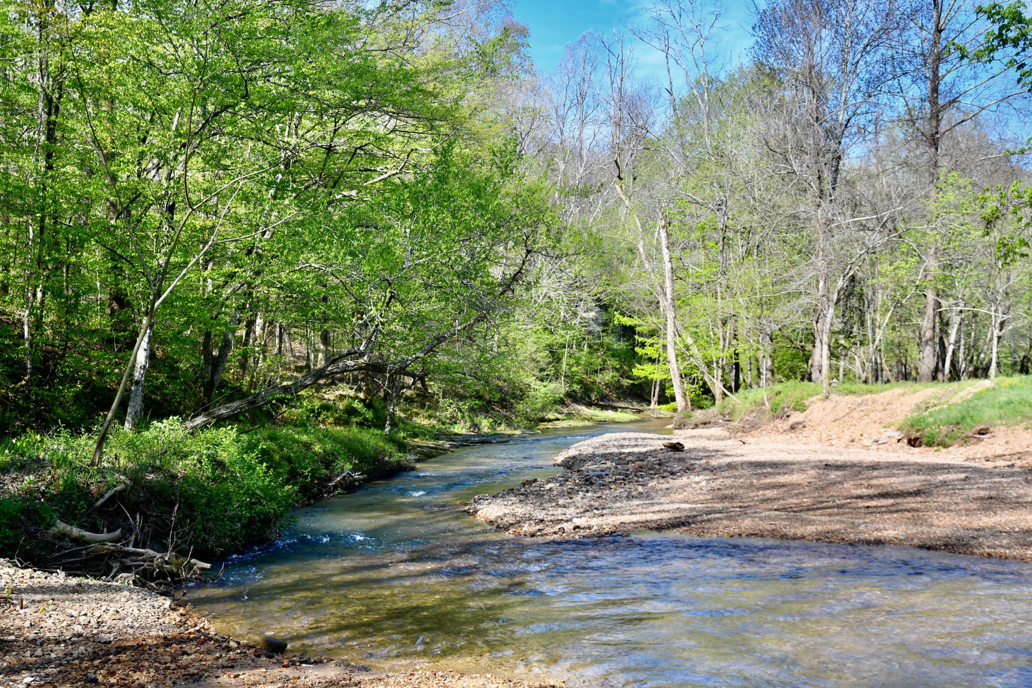 0 Cane Creek Road Hohenwald, TN 38462 - Photo 13 of 47 Gallery Image 13
