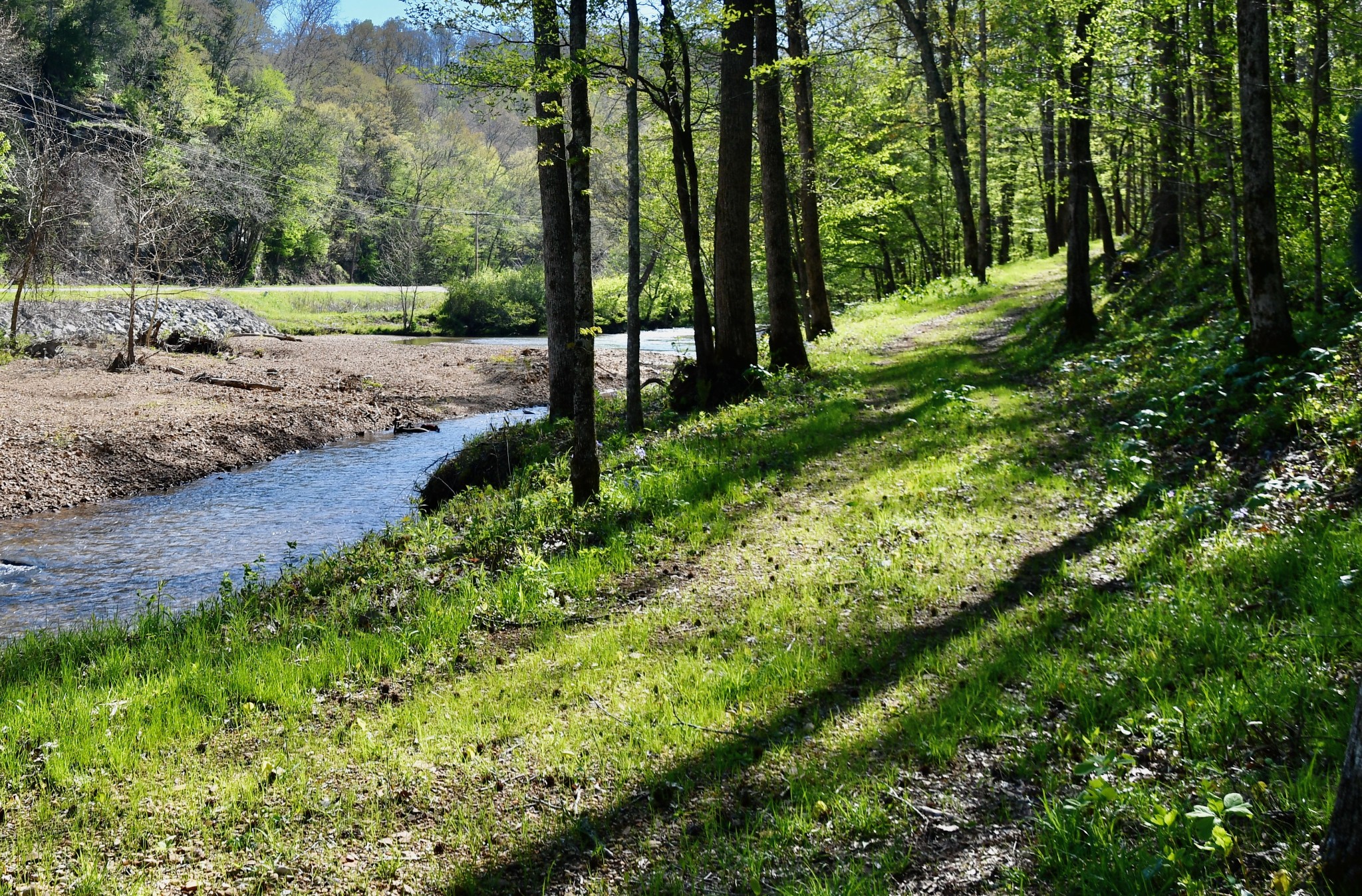 0 Cane Creek Road Hohenwald, TN 38462 - Photo 14 of 47 Gallery Image 14