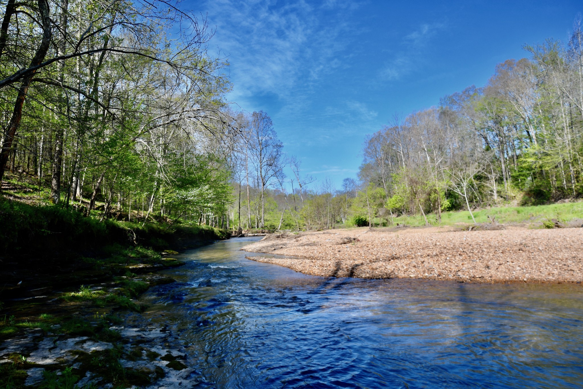 0 Cane Creek Road Hohenwald, TN 38462 - Photo 16 of 47 Gallery Image 16