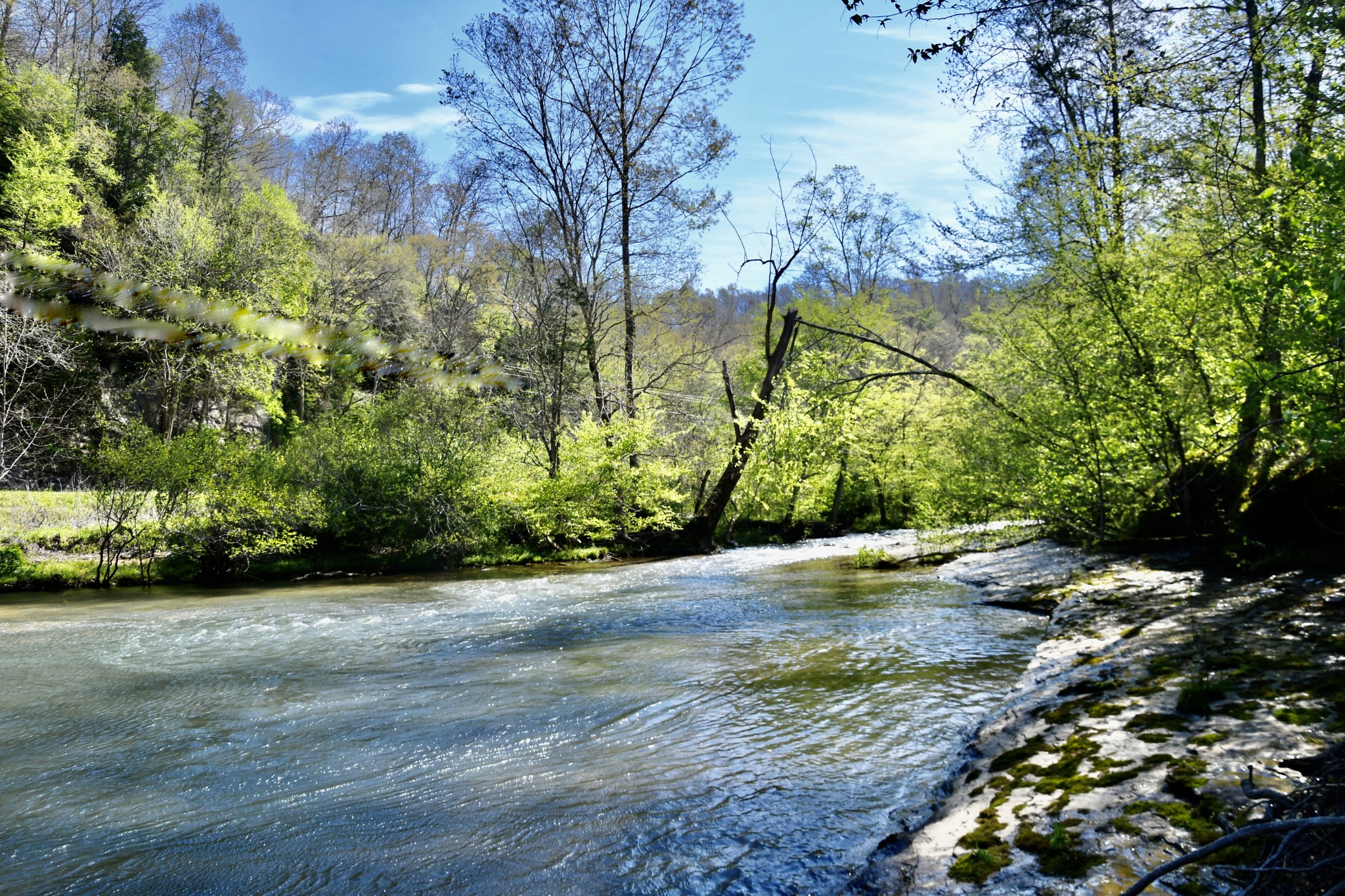 0 Cane Creek Road Hohenwald, TN 38462 - Photo 17 of 47 Gallery Image 17