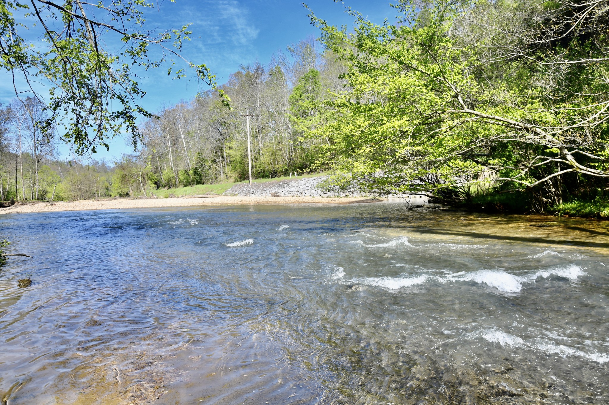 0 Cane Creek Road Hohenwald, TN 38462 - Photo 19 of 47 Gallery Image 19