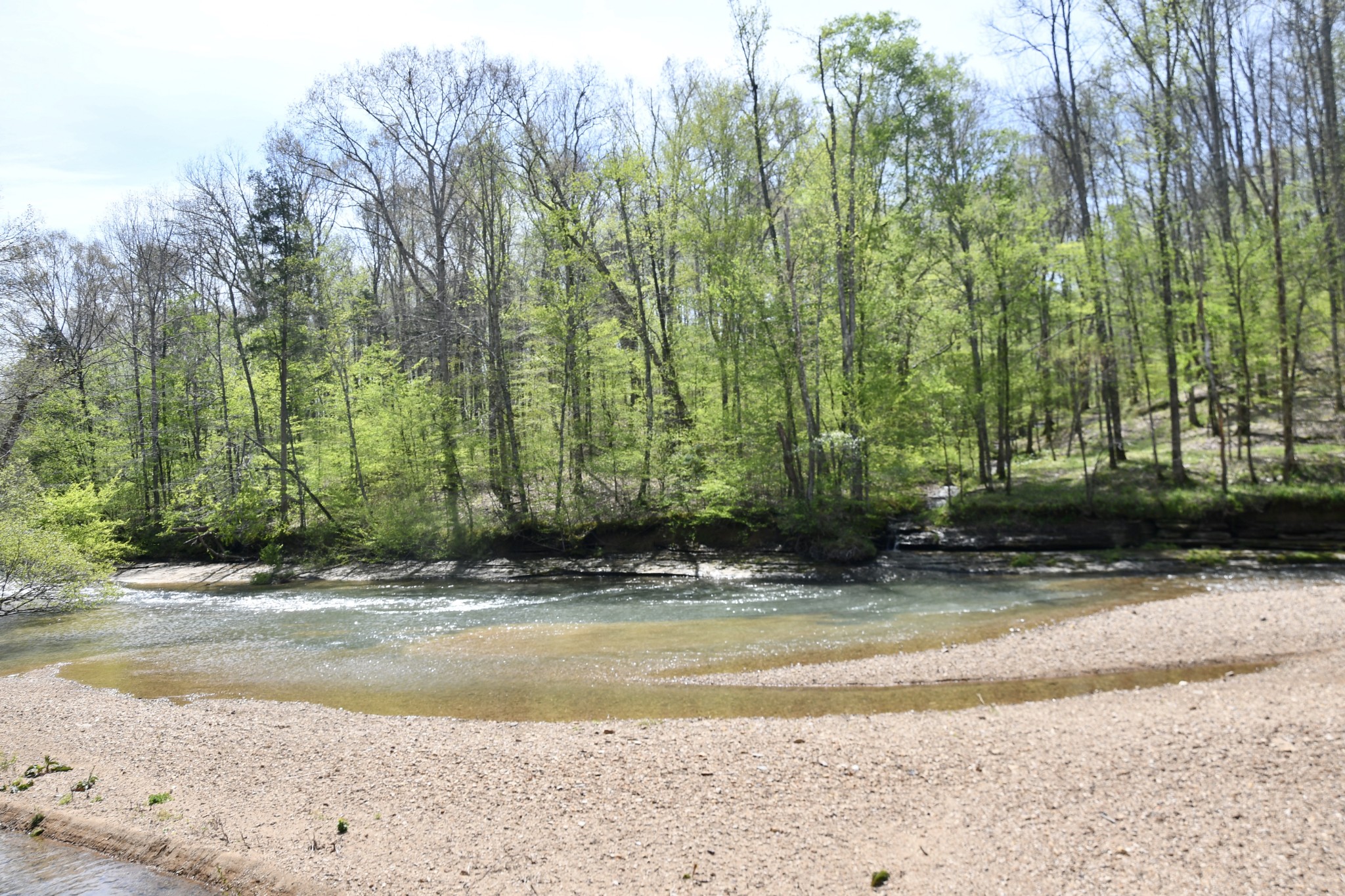 0 Cane Creek Road Hohenwald, TN 38462 - Photo 22 of 47 Gallery Image 22
