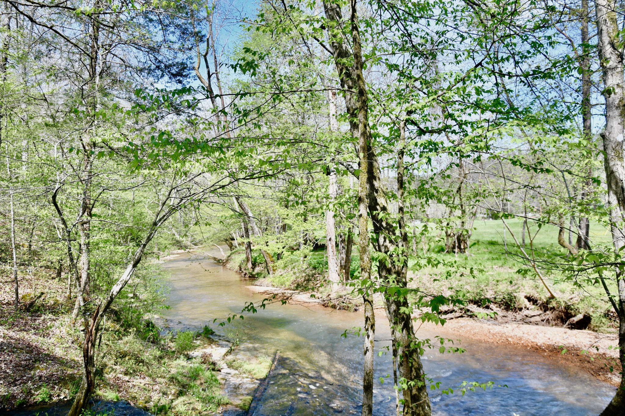 0 Cane Creek Road Hohenwald, TN 38462 - Photo 27 of 47 Gallery Image 27