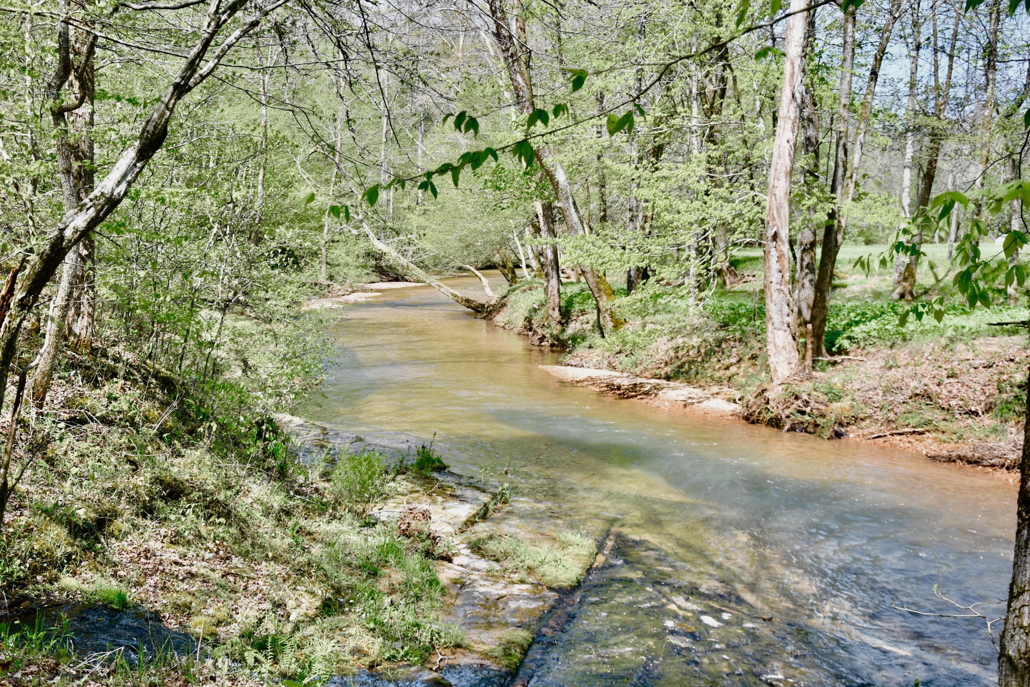0 Cane Creek Road Hohenwald, TN 38462 - Photo 28 of 47 Gallery Image 28