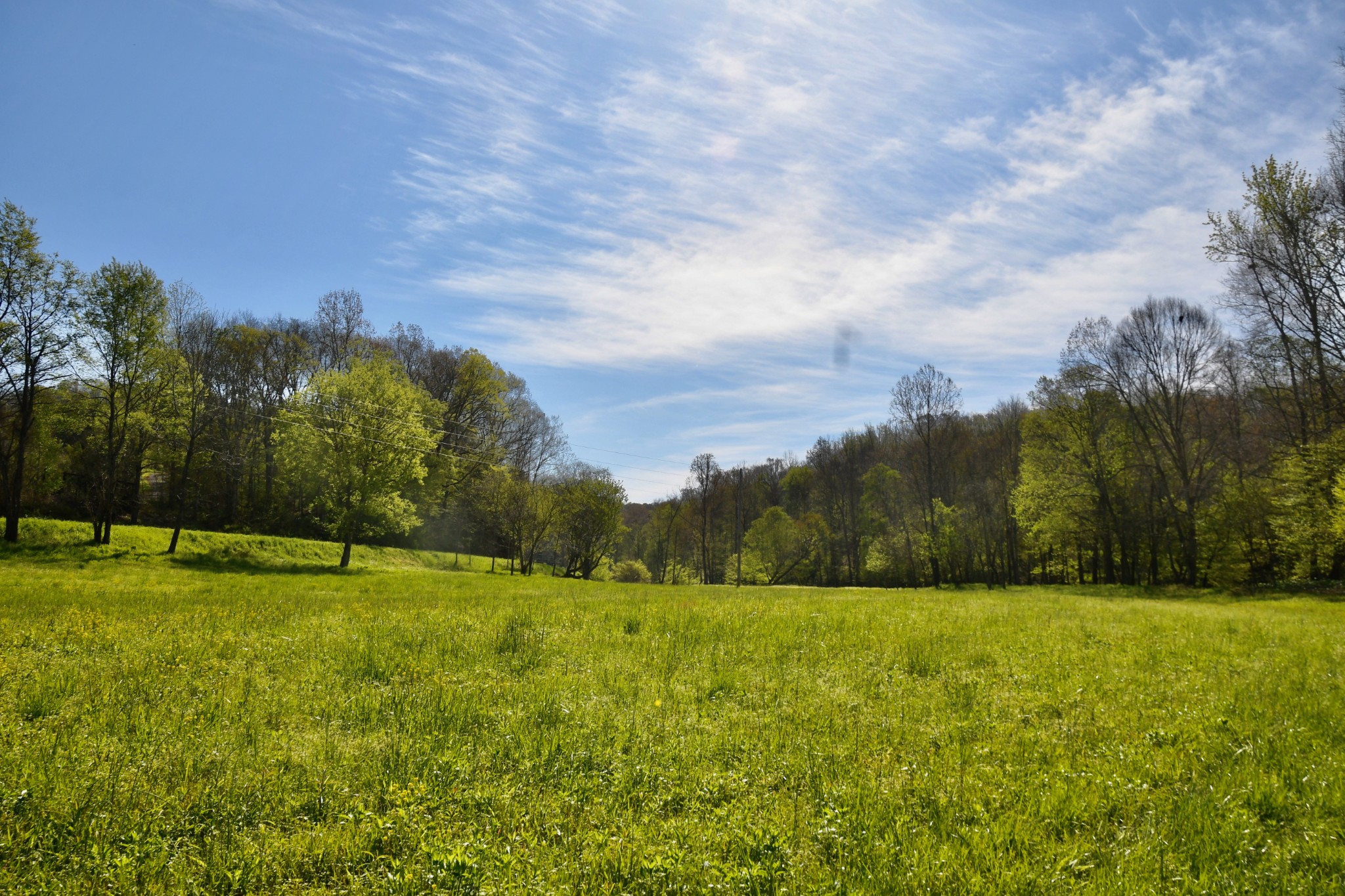 0 Cane Creek Road Hohenwald, TN 38462 - Photo 29 of 47 Gallery Image 29