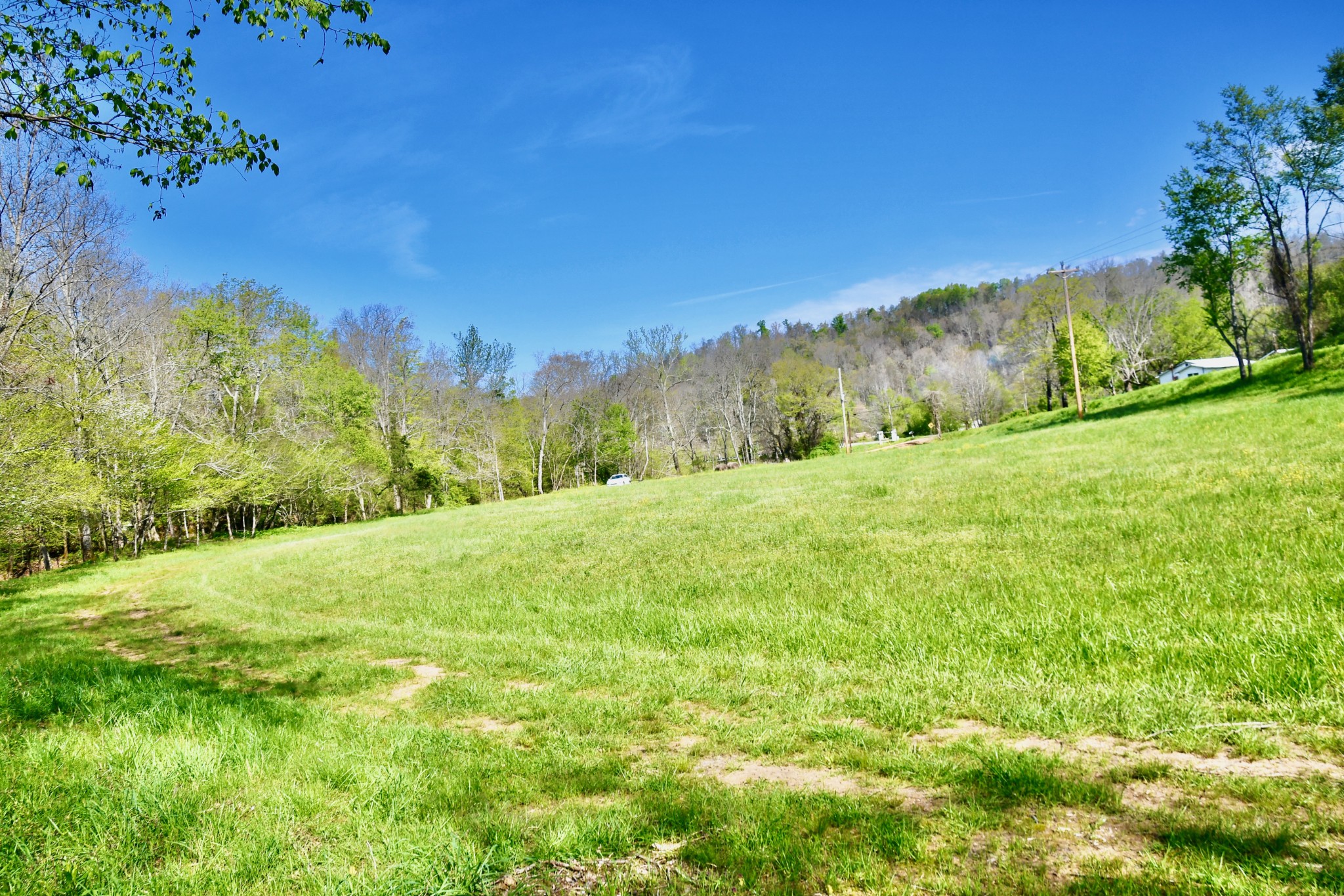0 Cane Creek Road Hohenwald, TN 38462 - Photo 30 of 47 Gallery Image 30