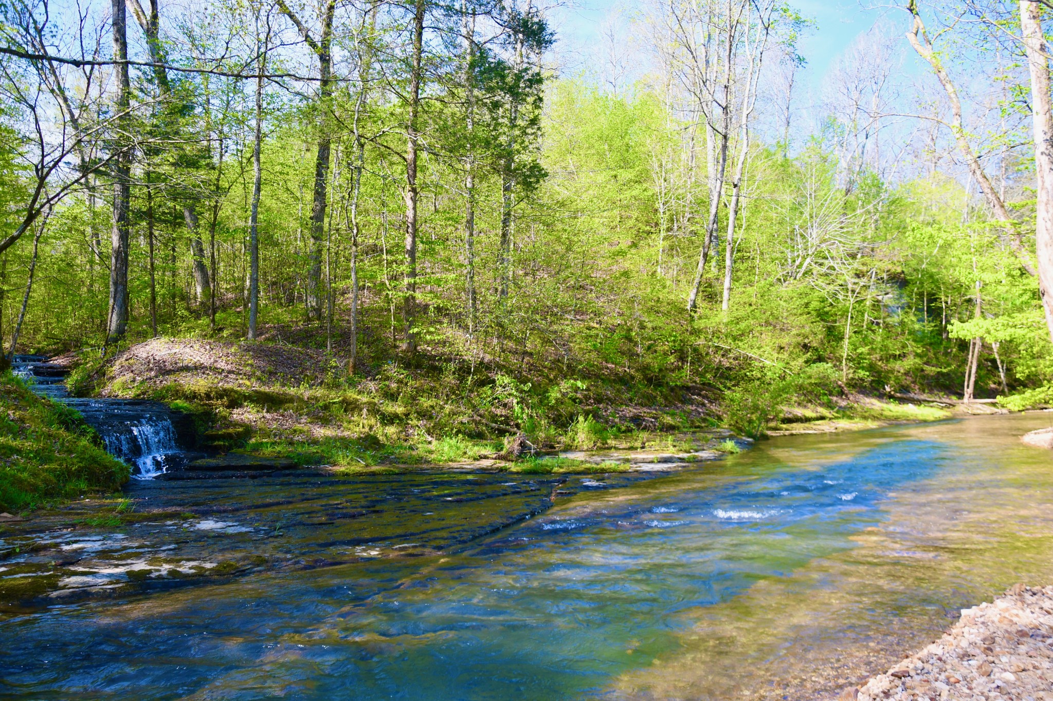 0 Cane Creek Road Hohenwald, TN 38462 - Photo 31 of 47 Gallery Image 31