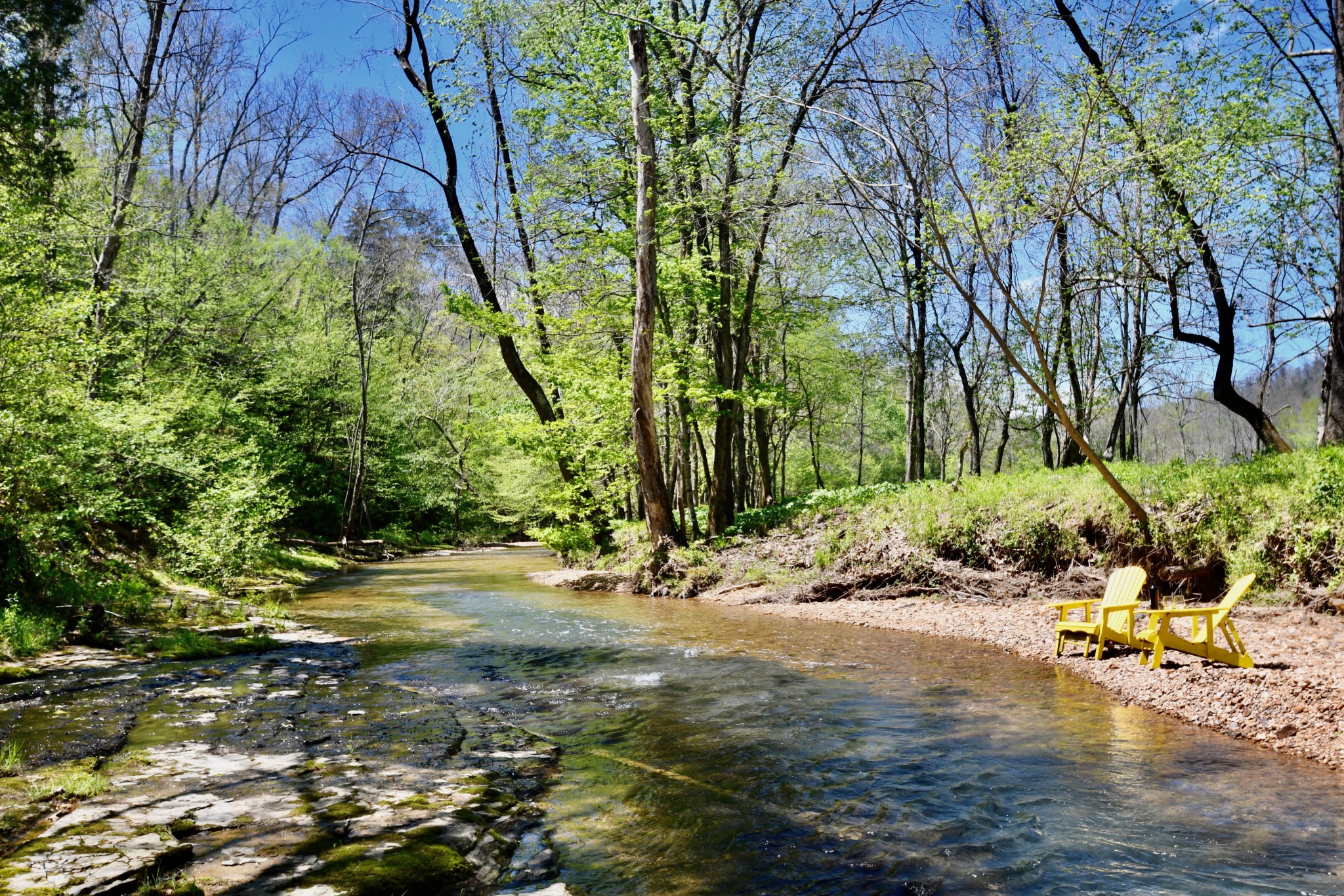 0 Cane Creek Road Hohenwald, TN 38462 - Photo 47 of 47 Gallery Image 47