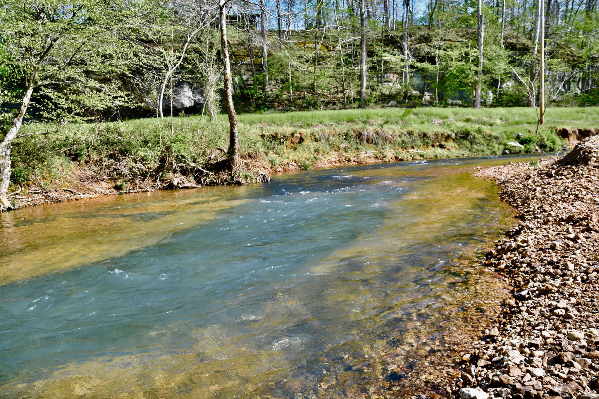 0 Cane Creek Road Hohenwald, TN 38462 - Photo 9 of 47 Gallery Image 9