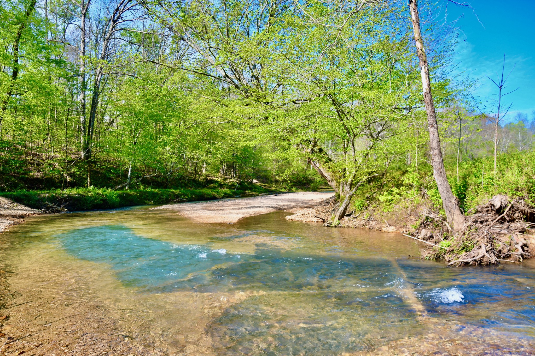 0 Cane Creek Road Hohenwald, TN 38462 - Photo 10 of 47 Gallery Image 10
