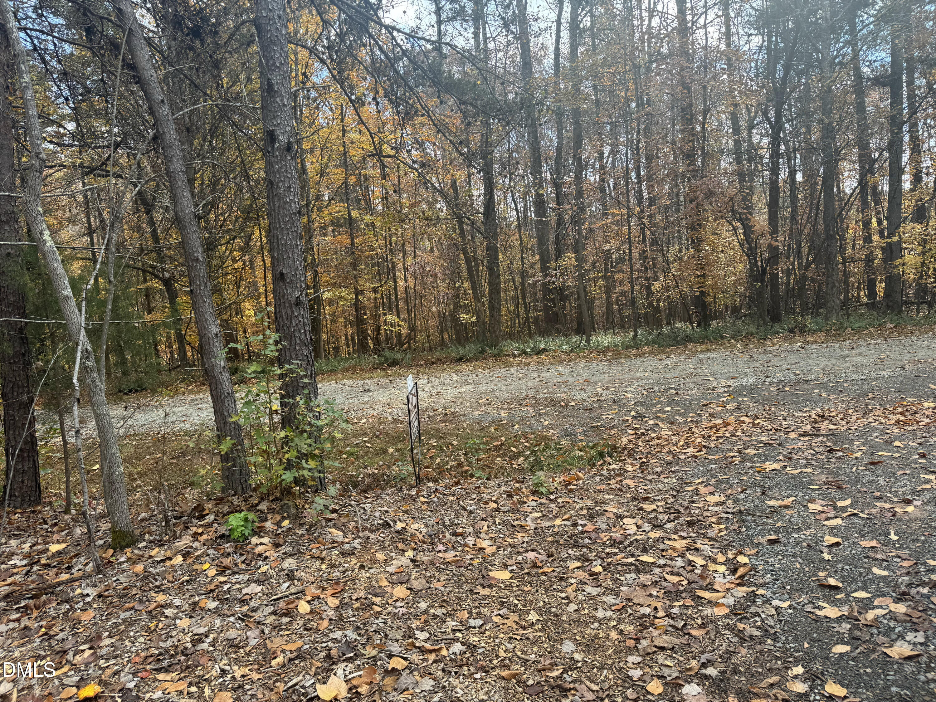101 Stillwater Lane Roxboro, NC 27574 - Photo 8 of 14 a backyard of a house with lots of green space