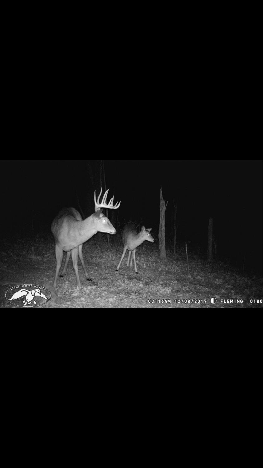 1 Pea Ridge Road Wallingford, KY 41093 - Photo 11 of 15 Photo 11