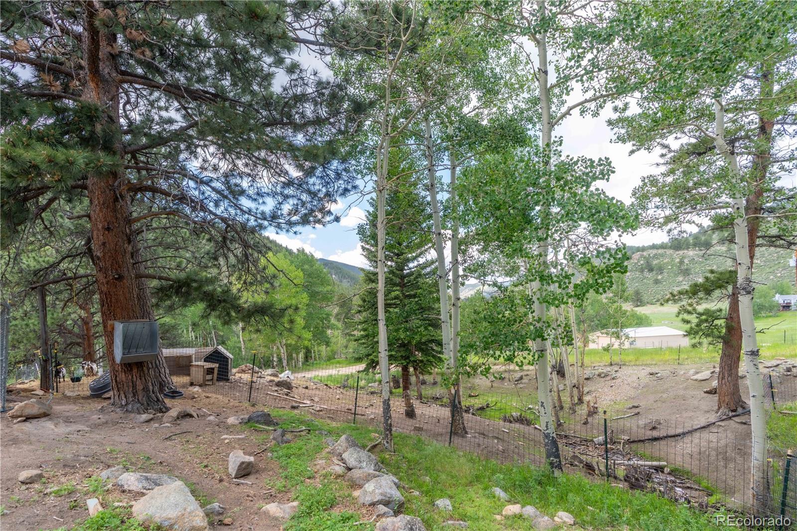 109 Heide Road Shawnee, CO 80475 - Photo 3 of 34