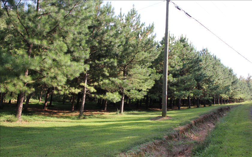 3.47 Acres Knight Road Ellijay, GA 30540 - Photo 1 of 1 Main View