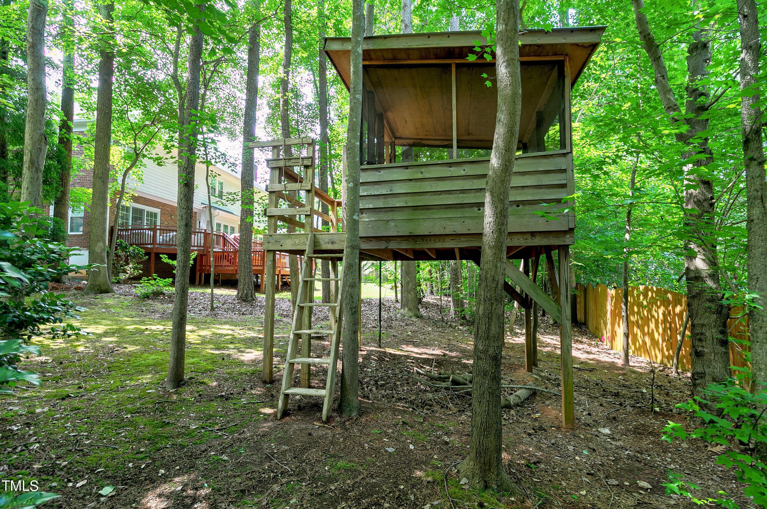 100 Buckden Place Cary, NC 27518 - Photo 54 of 70 100 Buckden 52 tree house