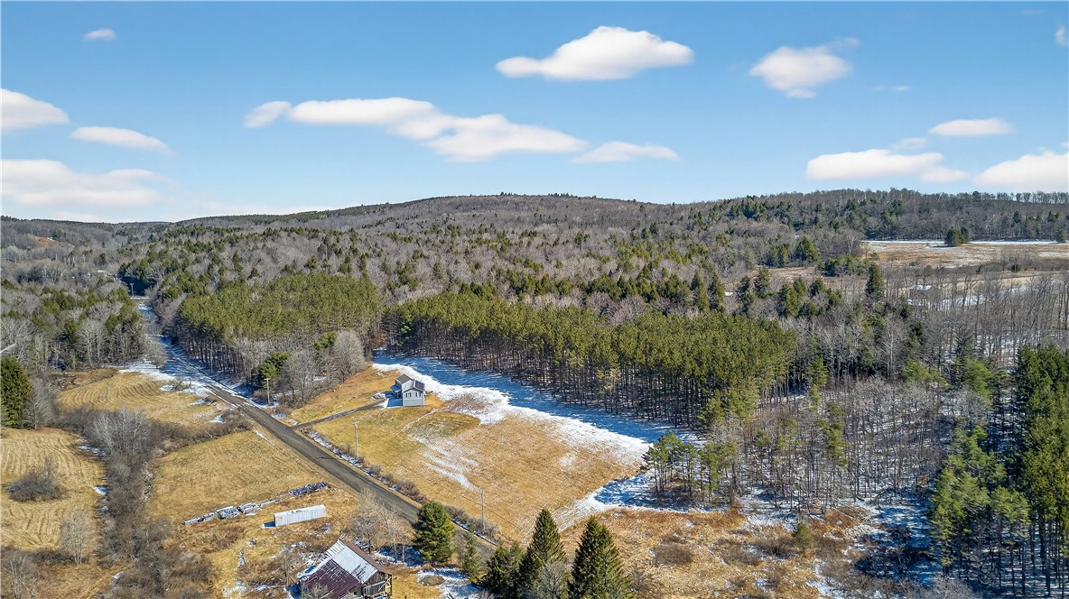 1112 Center Valley Road Worcester, NY 12197 - Photo 4 of 49