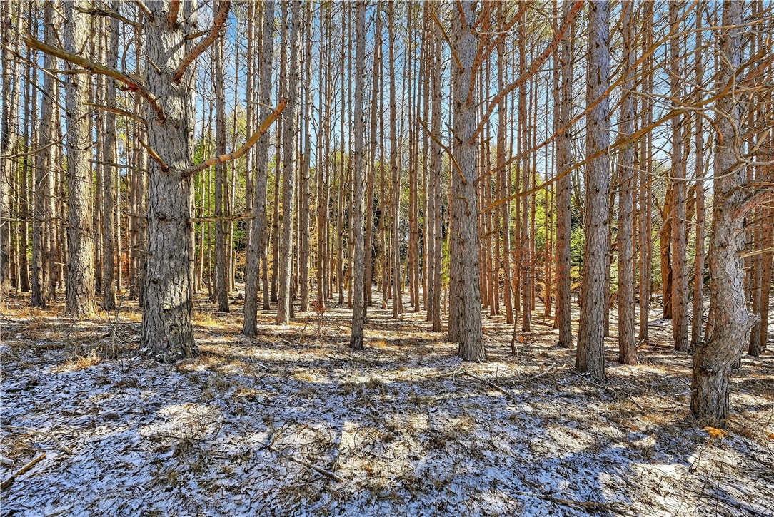 1112 Center Valley Road Worcester, NY 12197 - Photo 43 of 49