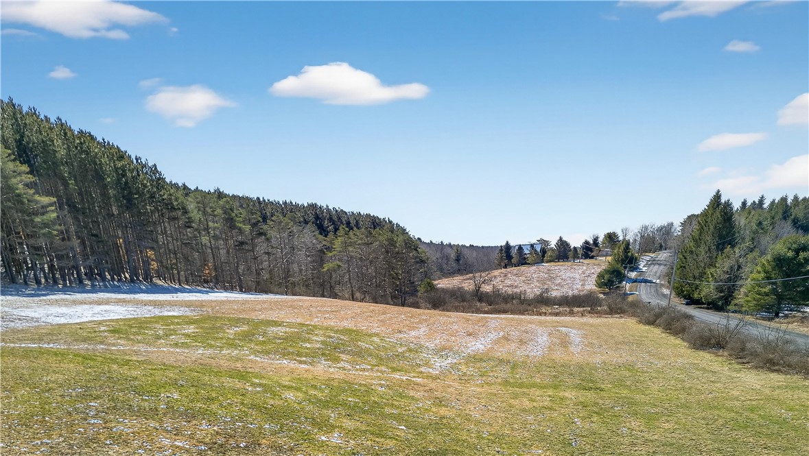 1112 Center Valley Road Worcester, NY 12197 - Photo 45 of 49