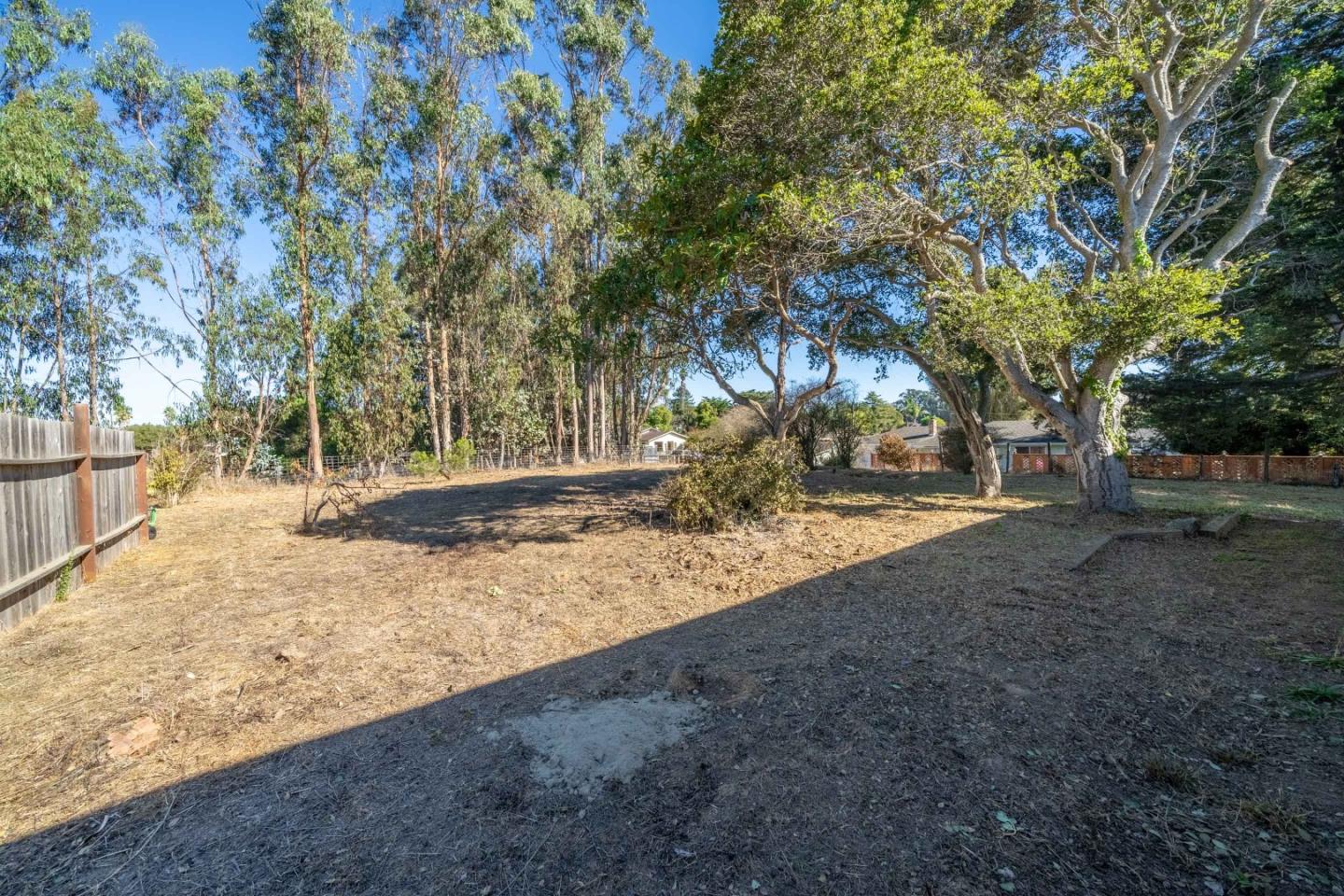 8645 Archer Road Salinas, CA 93907 - Photo 39 of 60 a view of a yard with tree s