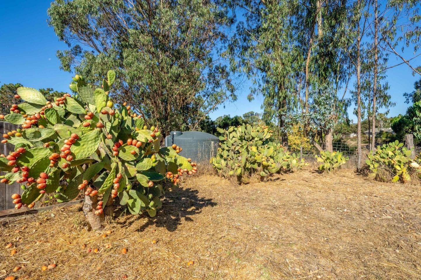 8645 Archer Road Salinas, CA 93907 - Photo 41 of 60 a view of a pathway with a pathway