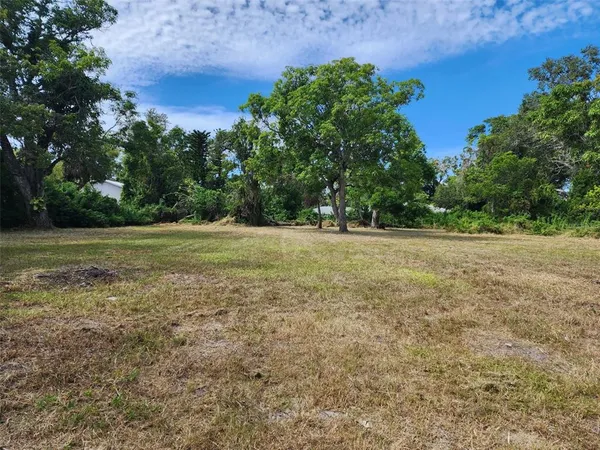 a view of a field with plants and trees