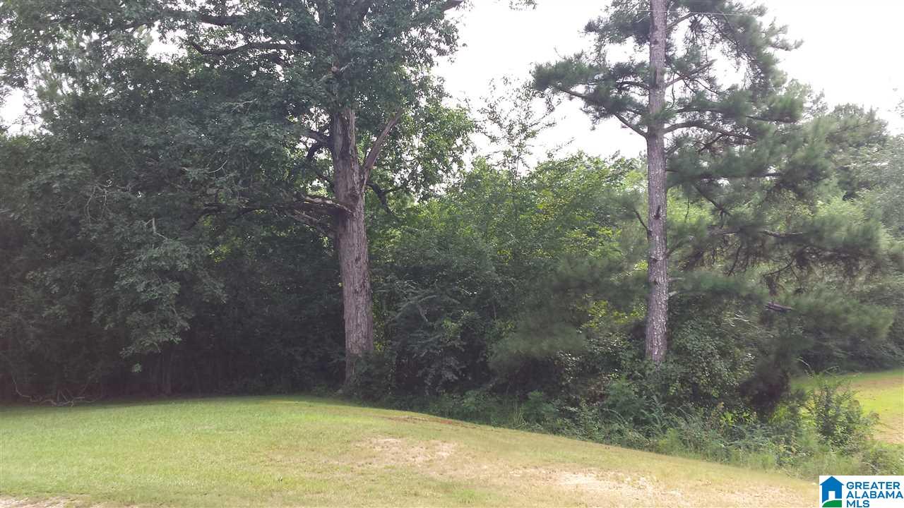 23816 Highway 231 Ragland, AL 35131 - Photo 32 of 36 Gallery Image 32