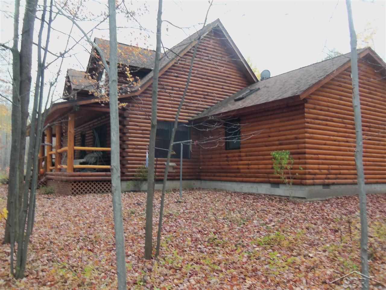 5210 South Iva Road St. Charles, MI 48655 - Photo 4 of 23