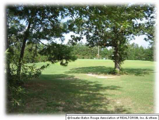 Lot 101 Monarch Point Springfield, LA 70462 - Photo 4 of 11