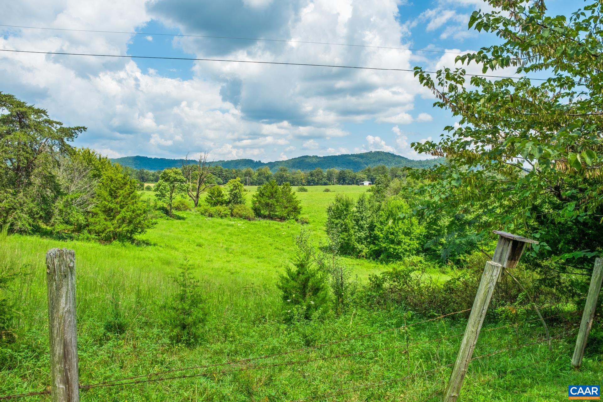 1640 Pea Ridge Road Stanardsville, VA 22973 - Photo 43 of 51 a view of a garden