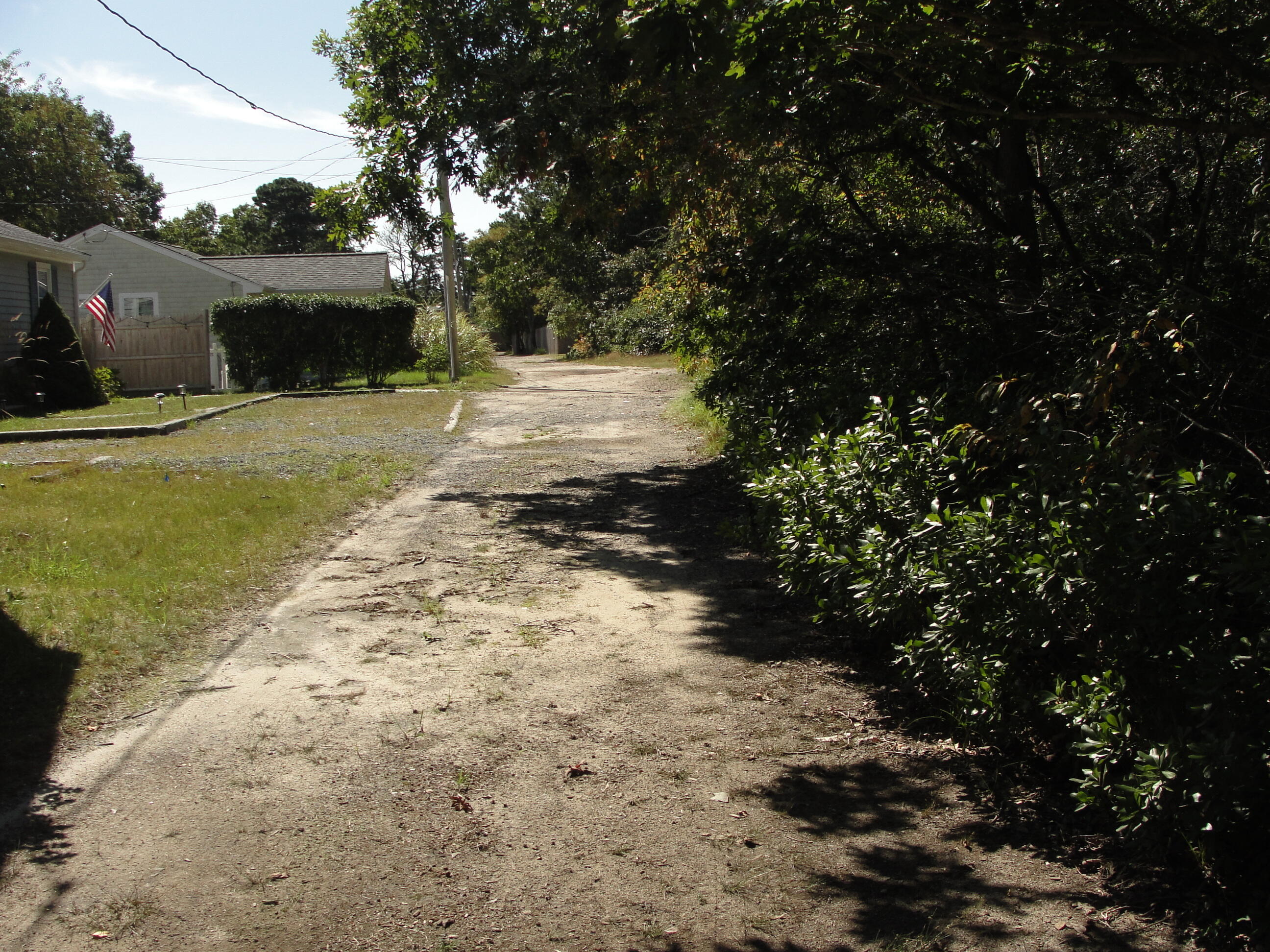 7 E Toms Path Dennis Port, MA 02639 - Photo 19 of 26 a view of a yard with plants and large trees