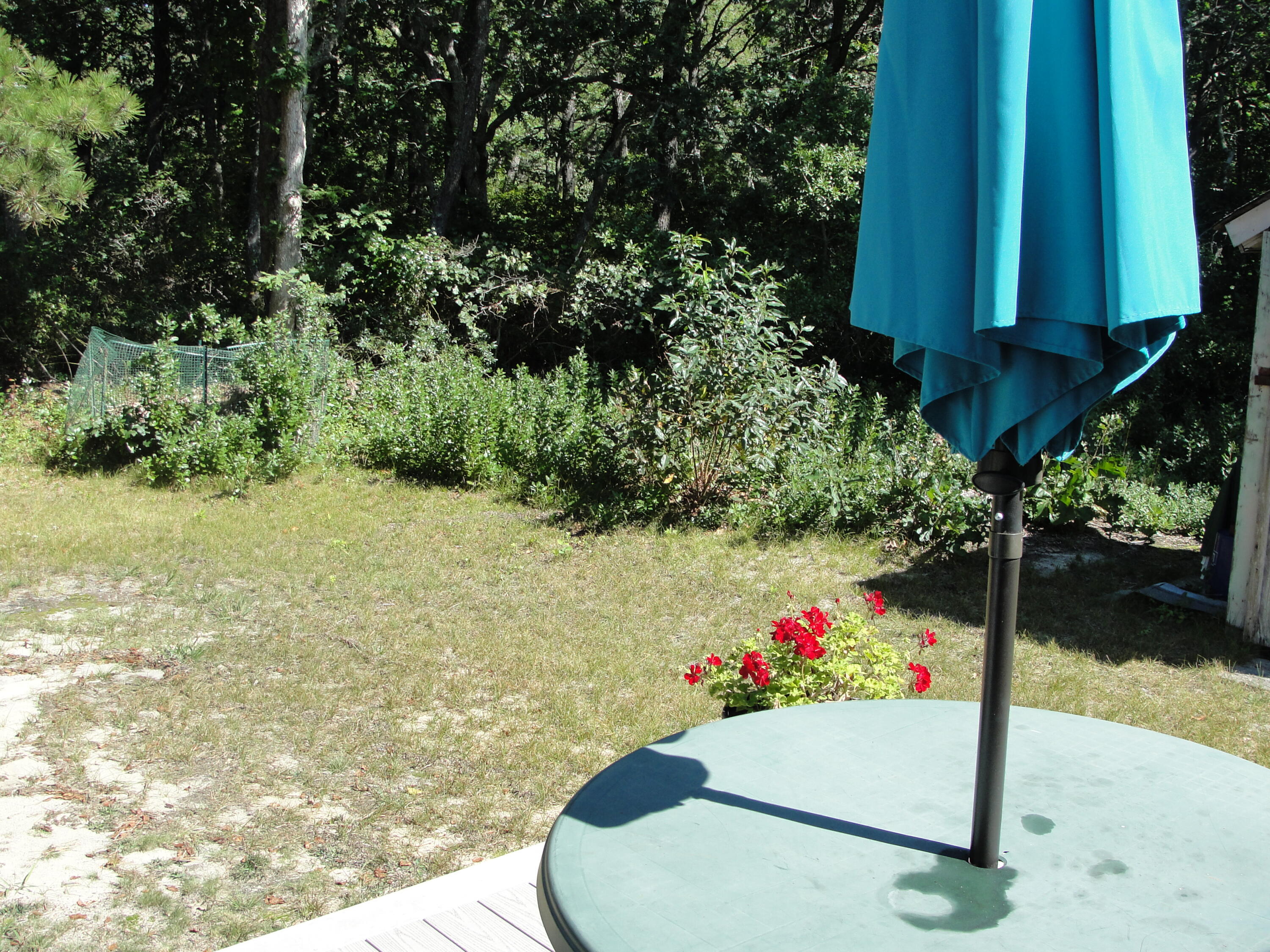 7 E Toms Path Dennis Port, MA 02639 - Photo 21 of 26 a view of an outdoor space