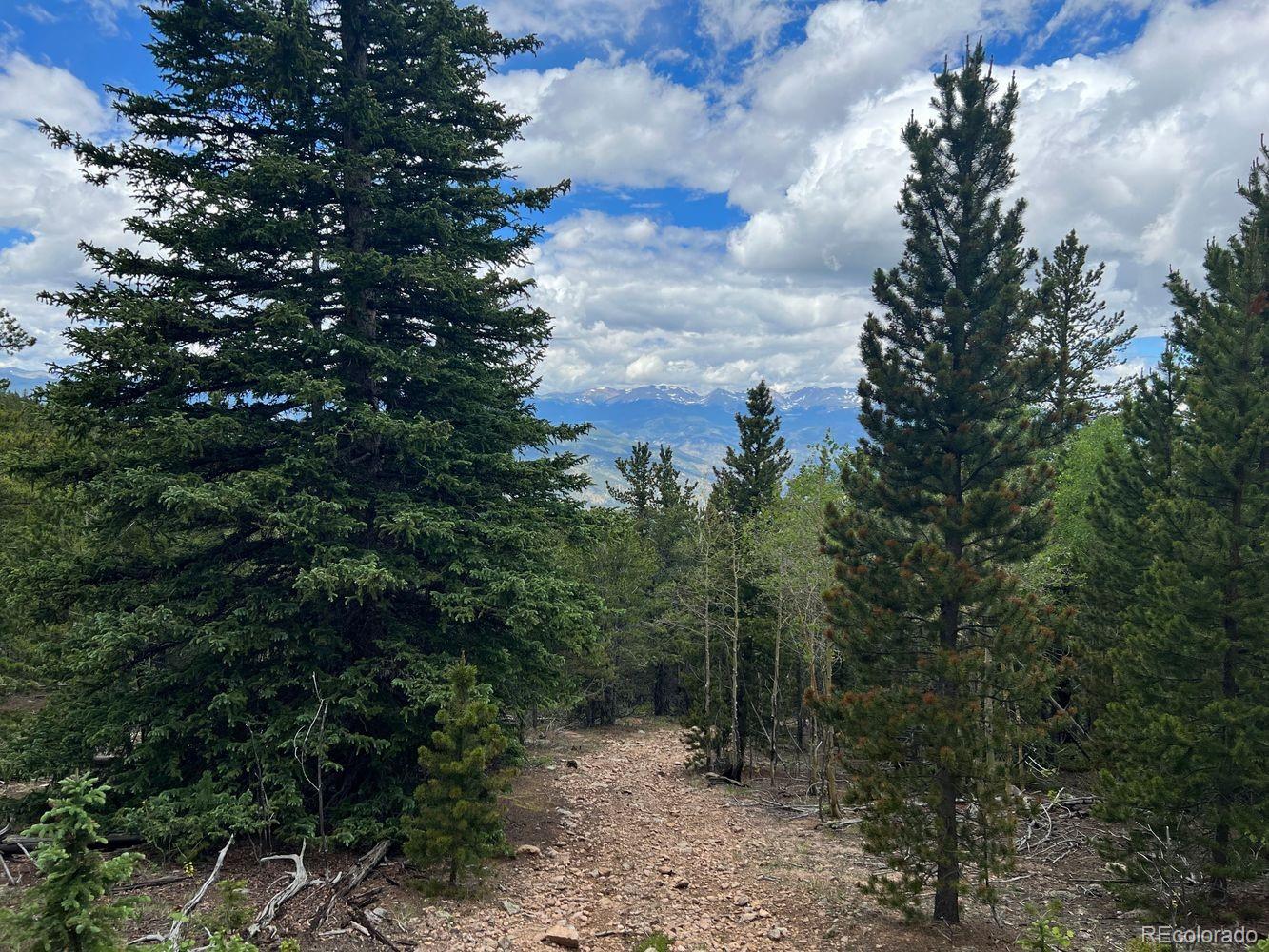 0 Hidden Wilderness Road Evergreen, CO 80439 - Photo 23 of 29