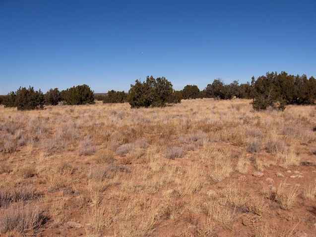 13 T14n R16e:e2 Se4 Sw4 Street Cibecue, AZ 85911 - Photo 2 of 2