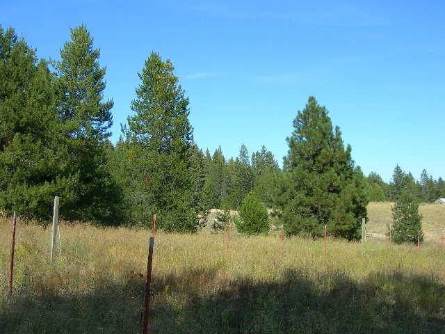 6082 Spring Valley Road Newport, WA 99156 - Photo 5 of 6 Gallery Image 5