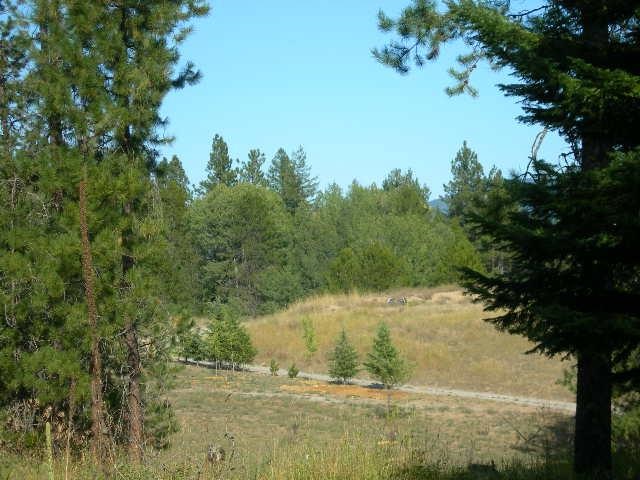 6082 Spring Valley Road Newport, WA 99156 - Photo 6 of 6 Gallery Image 6