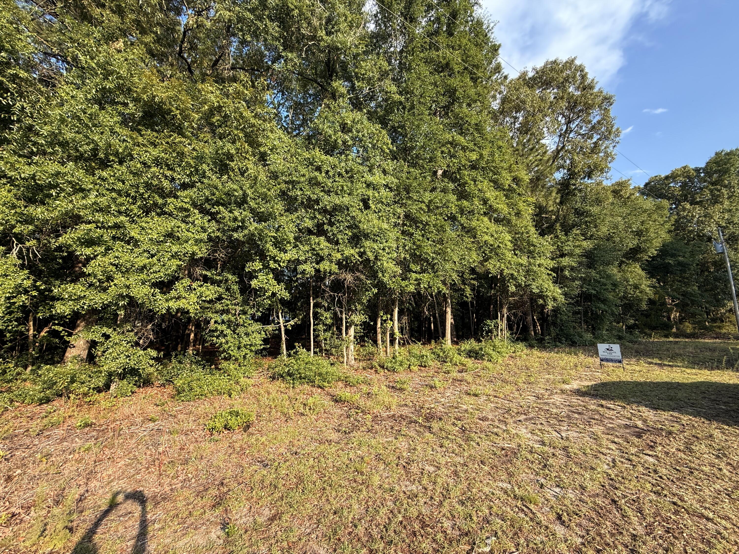 100 Triangle Drive Summerton, SC 29148 - Photo 2 of 5 IMG_3419